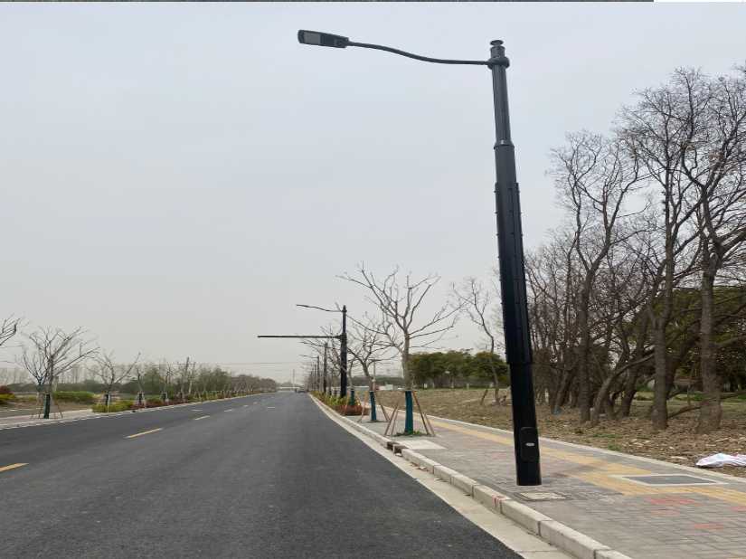 波密县上海综合杆 太阳能路灯工程